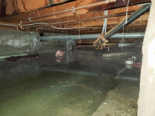 Best 24-hour water damage restoration  in Carson, WA