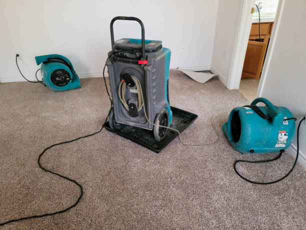 Best Commercial water damage restoration  in Carson, WA