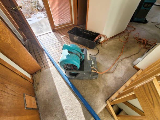 Best Ceiling water damage repair  in Carson, WA