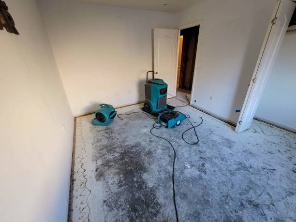 Best Local water damage restoration  in Carson, WA