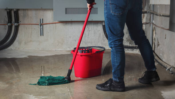 Reliable Carson, WA Water damage restoration Solutions