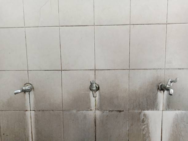 Best Water damage contractors near me  in Carson, WA