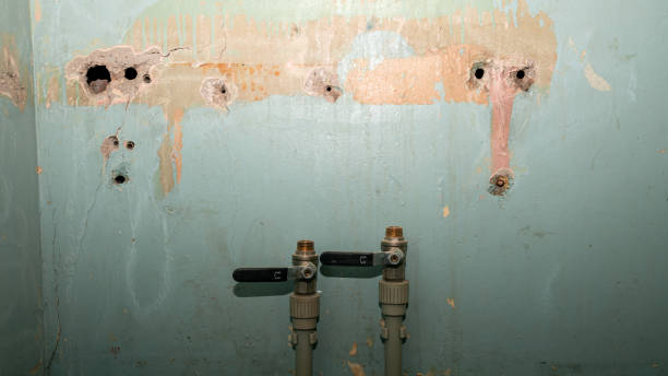 Best Water damage restoration near me  in Carson, WA