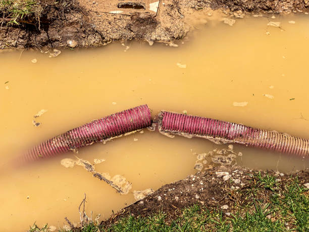 Best Water damage restoration services  in Carson, WA