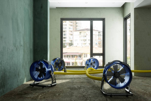 Best Commercial water damage restoration  in Carson, WA